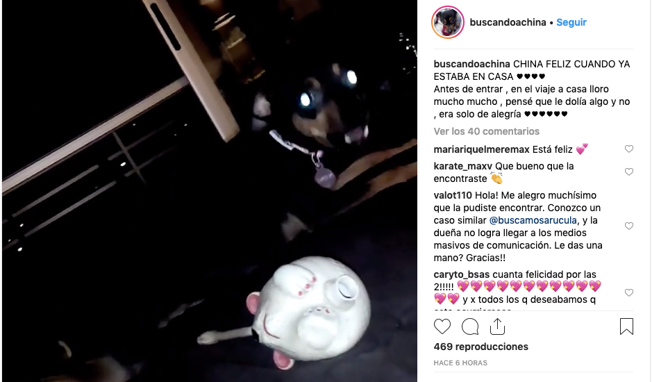 Volvió a su casa: la emoción de la joven que pagó 30.000 pesos de recompensa para recuperar a su perra