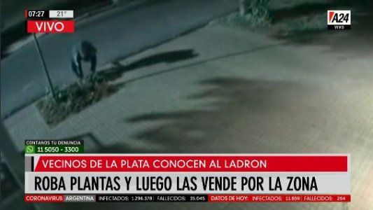 Cayeron los ladrones “roba plantas” del conurbano bonaerense