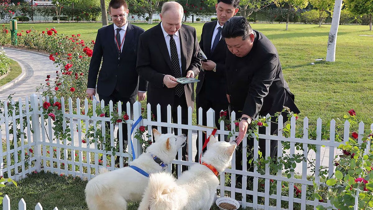 Kim le regaló a Vladimir Putin dos perros de su raza favorita. (Foto: Gentileza The Korea Times)