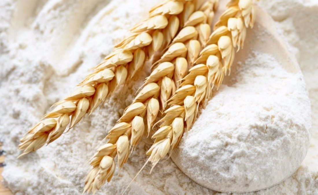 Harina elaborada a base de trigo