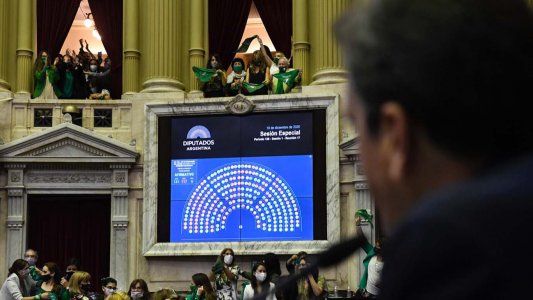 El Senado comienza el lunes el tratamiento en comisión del proyecto de legalización del aborto