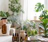 Aceites esenciales para limpiar y perfumar la casa: cuáles usar y cómo diluirlos