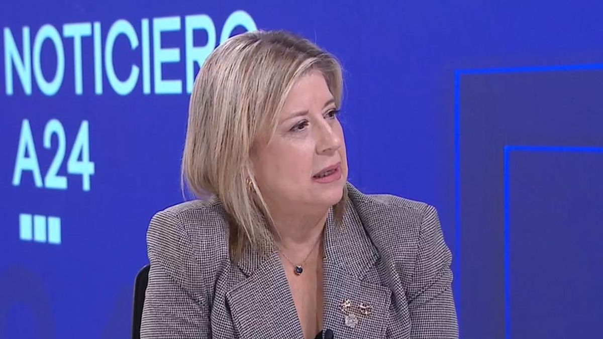 La ministra valoró la captura del principal sospechoso a las 48 horas de la denuncia y afirmó que el análisis del caso debe contemplar todo el contexto que rodeó el hecho. (Foto: captura de pantalla)