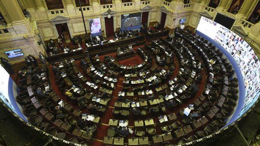 Agenda de Diputados: se eligen las autoridades para 2021 y buscan dictamen para la legalización del aborto
