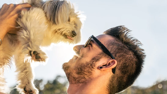 Canceló el casamiento porque su novia casi mata a su perro