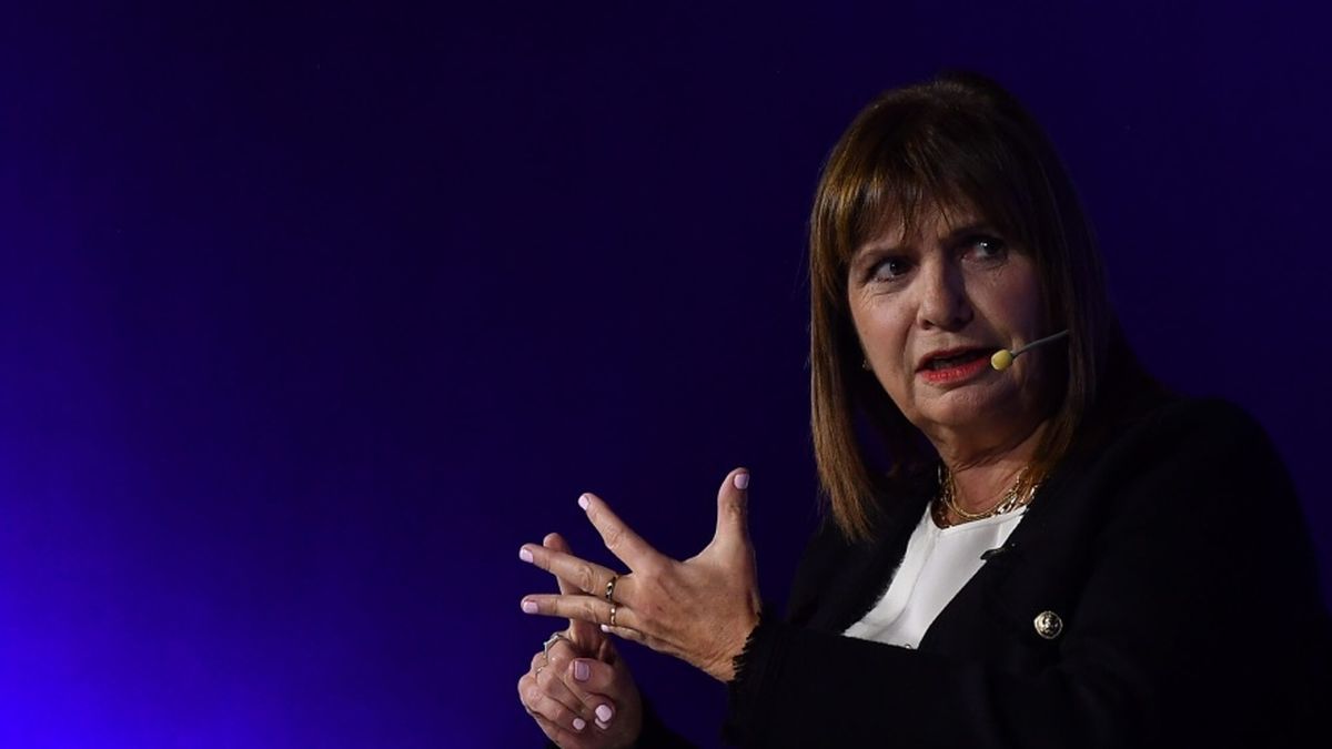 Patricia Bullrich dejará la presidencia del PRO y convocará a elecciones  para febrero