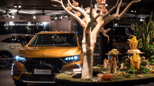 Experiencias exclusivas para clientes DS