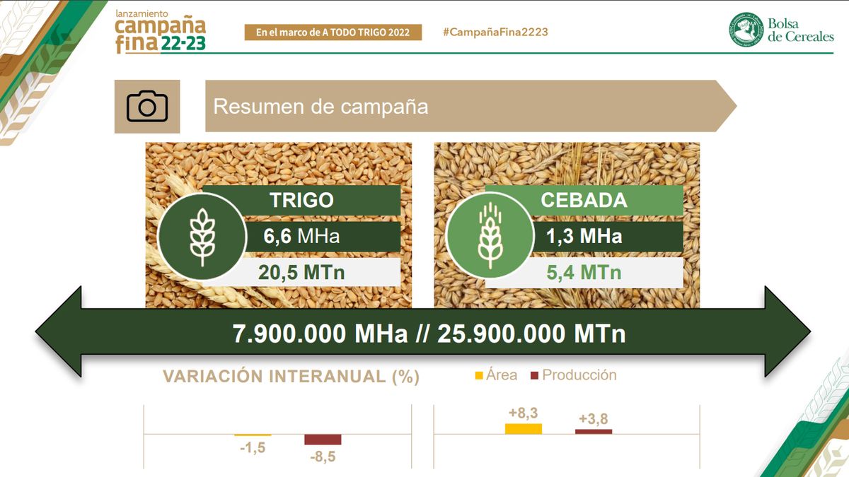 Los datos de la Bolsa de Cereales de Buenos Aires muestran una ca&iacute;da en la producci&oacute;n de trigo de la campa&ntilde;a 2022/23.