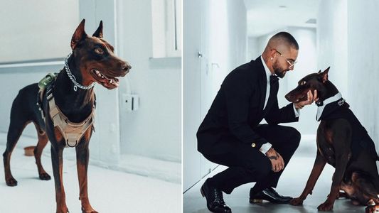 Maluma fue atacado por su perro y así le quedó su cara