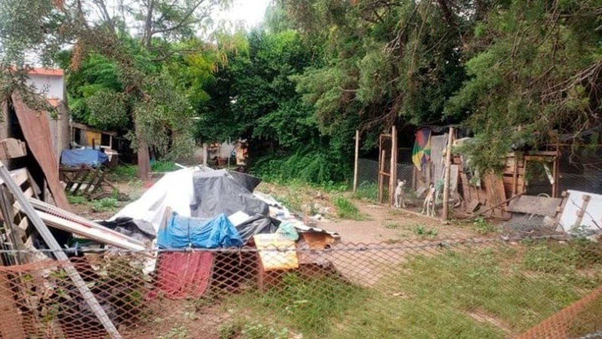 Sufrió un feroz ataque por parte de su perro pitbull, pero no pidió ayuda por temor a que lo sacrificaran