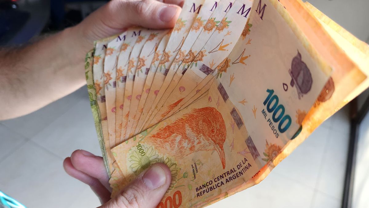INCREÍBLE crédito para JUBILADOS: cómo acceder a los $5.000.000 del Banco Provincia (Foto: archivo)