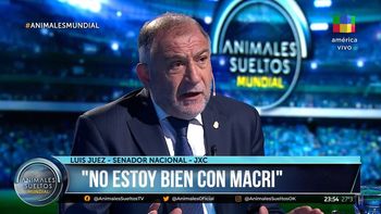 Luis Juez, en Animales Sueltos: No estoy bien con Mauricio Macri, no le gusta que yo le diga las cosas