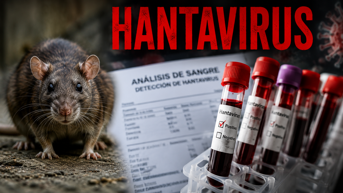 El hantavirus volvió a quedar bajo la lupa tras el brote detectado en un crucero que había zarpado desde Ushuaia y el reciente caso confirmado en Bariloche.