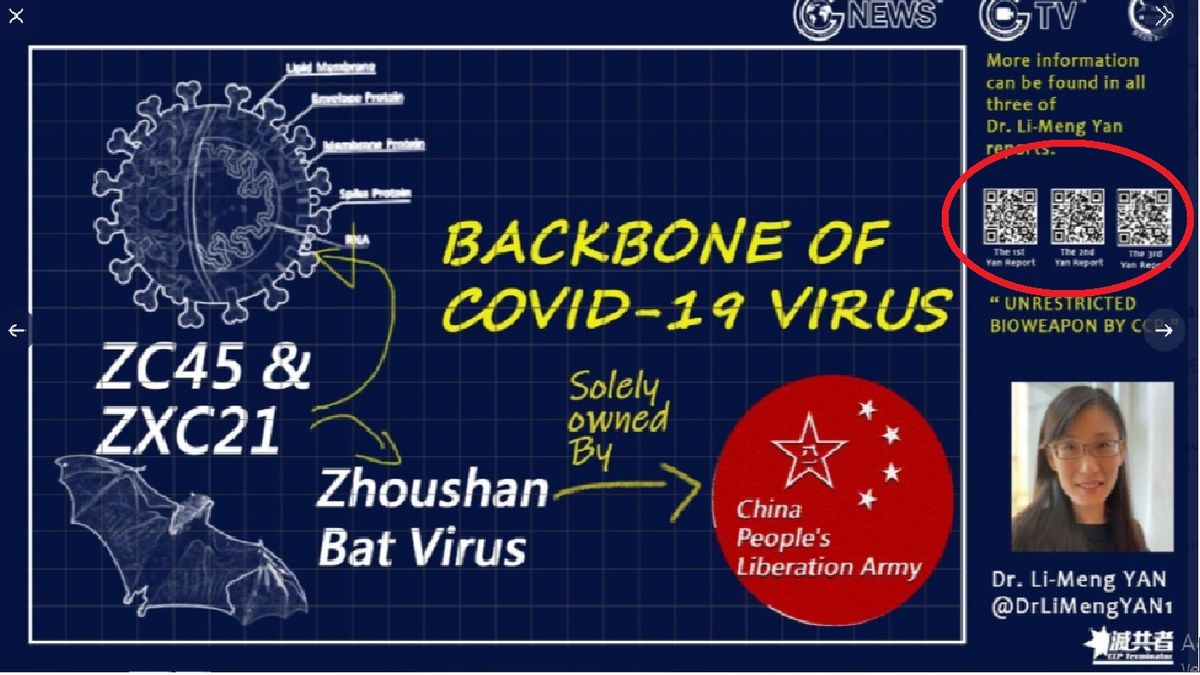 La teoría de la creación para uso militar del COVID-19 se puede leer por medio de un código QR desde la cuenta te Twitter de la Dra. Yan ( Foto: Cuenta oficial de la Dra. Yan)