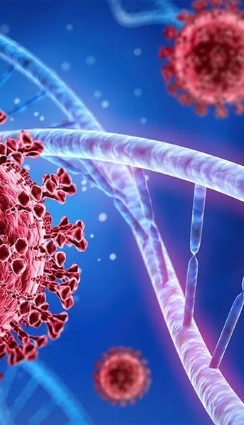 Ómicron BA.5 en Argentina: el Ministerio de Salud confirmó la presencia de la variante supercontagiosa