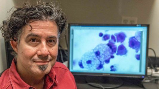 El fundador de Moderna pone más dudas sobre China por el origen del Covid-19