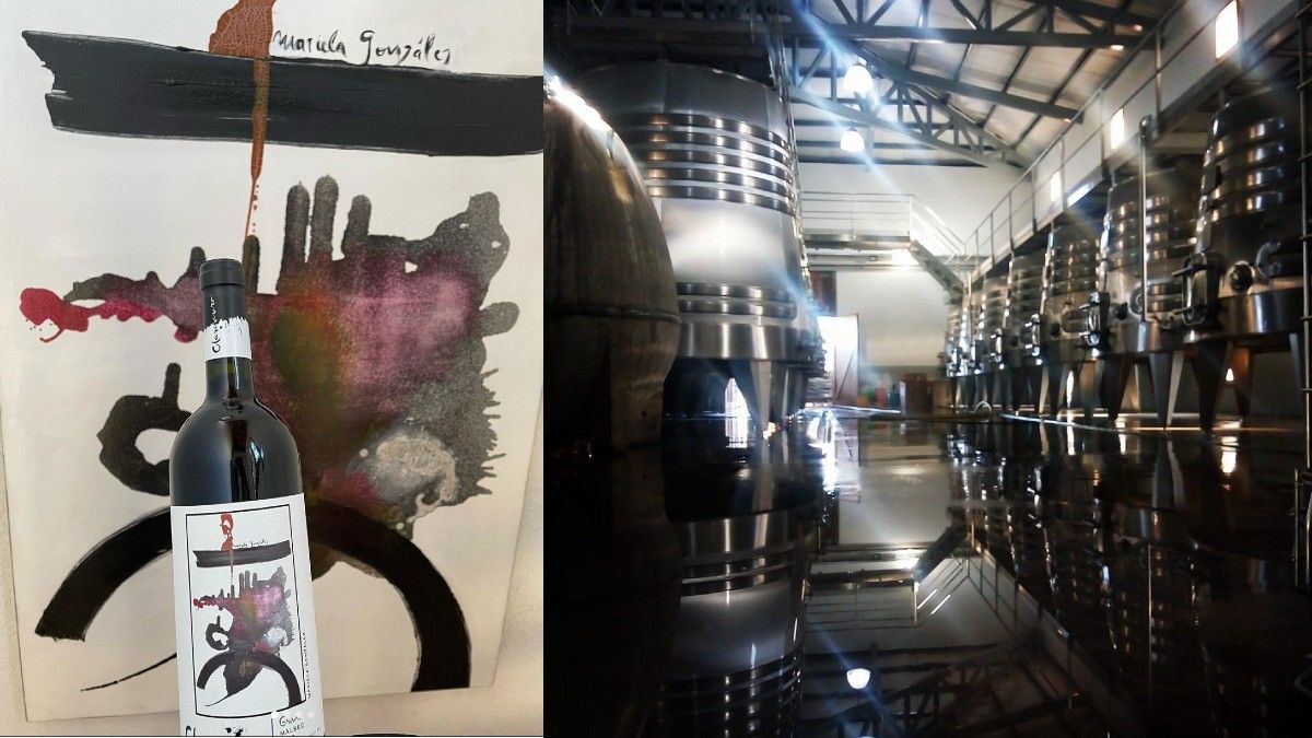 La primera cosecha fue en 2014 y desde allí suman una cantidad de obras de arte reflejadas en las botellas