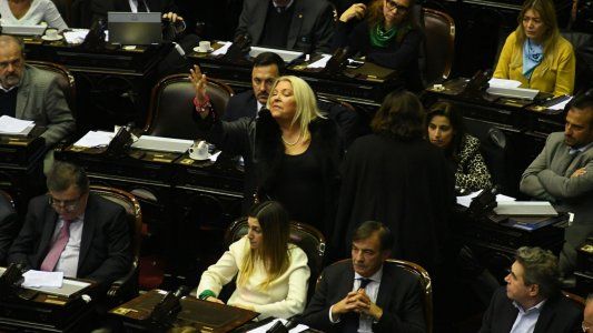 El Senado convirtió en ley dos leyes sociales, Carrió lo festejó por Twitter y dijo que extraña a Quintana