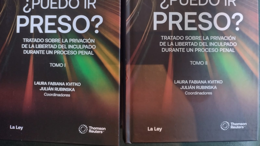 ¿Puedo ir preso?: un juez sacó un libro que trata de indagar en la máxima preocupación de un imputado