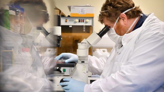 Un estudio revela un dato muy optimista sobre la duración de los anticuerpos en los recuperados de coronavirus