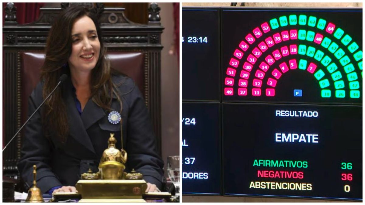 Cómo voto cada senador la Ley Bases