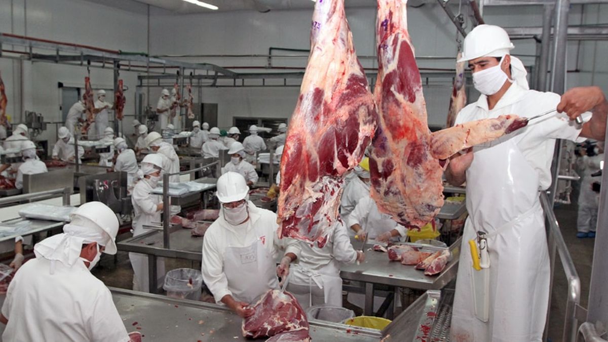 Las exportaciones de carne incrementaron las recaudaciones en el arranque del año.