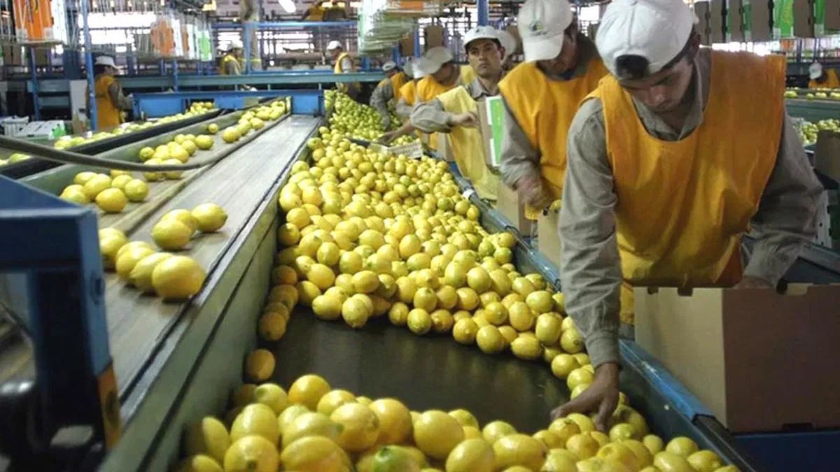 La agroindustria aporta el 22% del empleo privado argentino, sostiene un informe de FADA