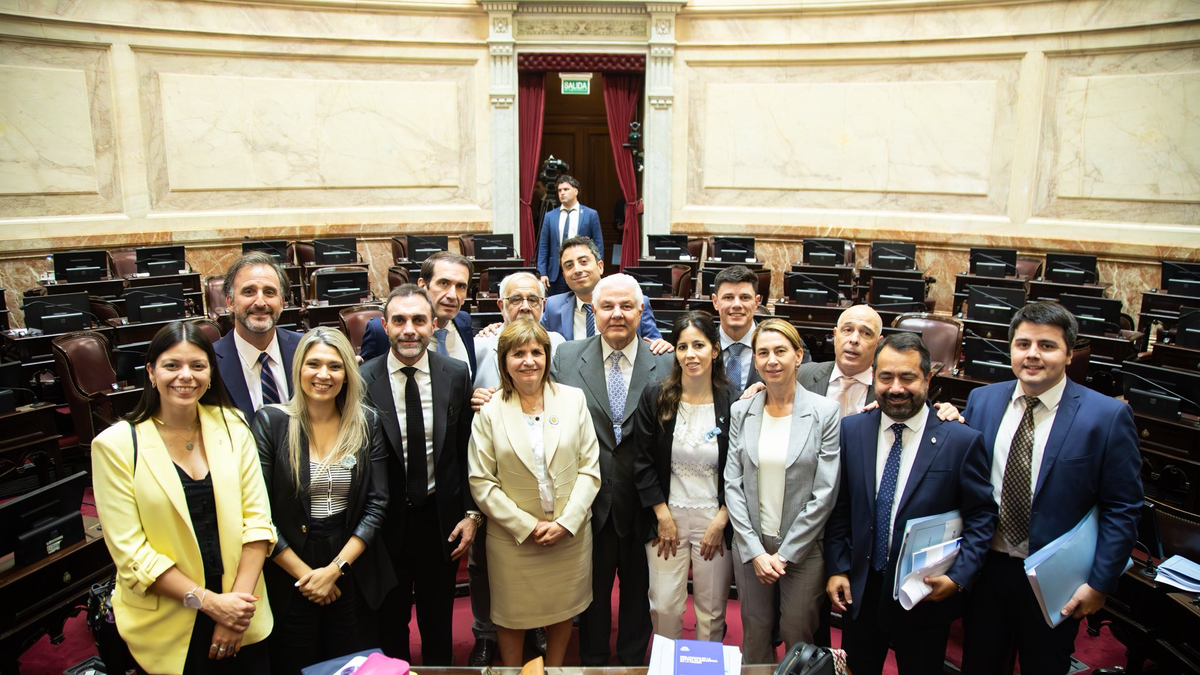 El Senado también convirtió en ley el proyecto de Inocencia Fiscal