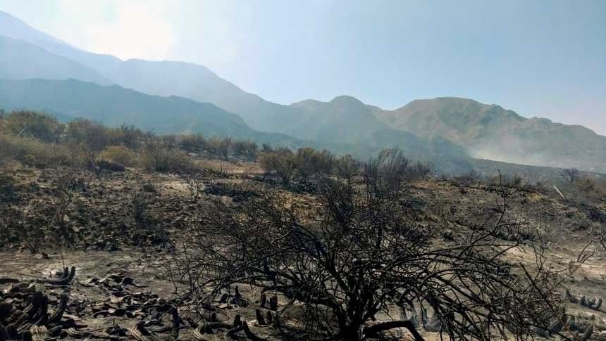 En Las Heras el incendio está totalmente extinguido
