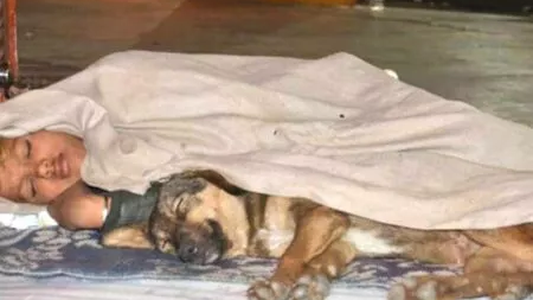 Niño desamparado sobrevive solo en la calle con el calor de su perrito