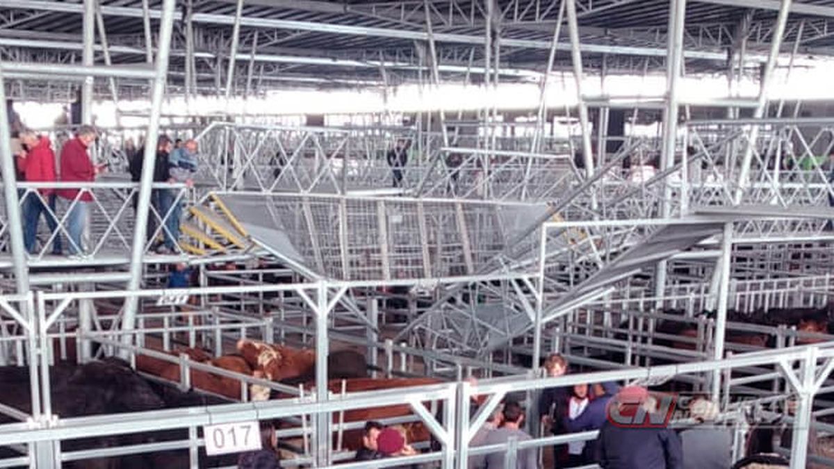 Así quedó la pasarela luego del accidente que sufrieron los consignatarios de hacienda. (Foto: Cañuelas News).