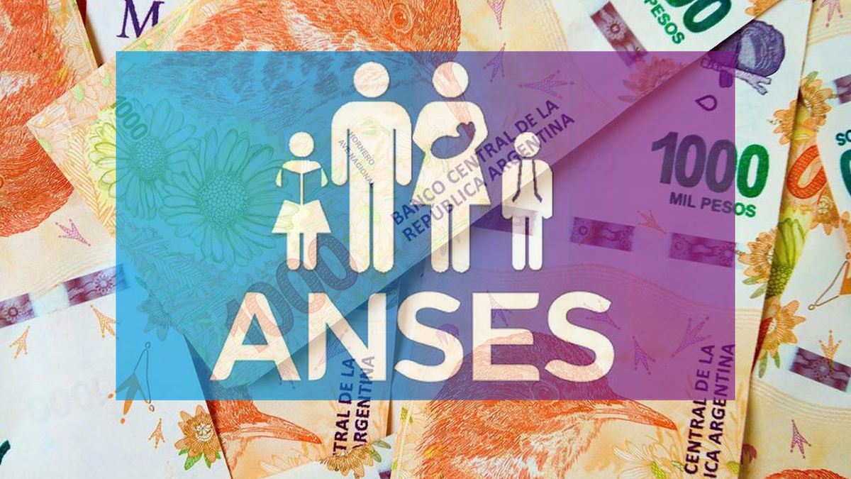 ANSES paga un extra de $ 116.000 desde octubre: cómo acceder (Foto: archivo)&nbsp;