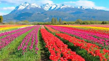 Día de la Primavera: cuándo empieza oficialmente la estación en septiembre
