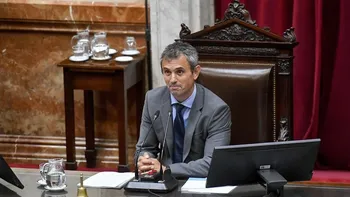 Martín Menem ratificó que el Gobierno buscará bajar la edad de imputabilidad