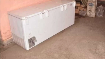 Mató a su abuela tras encerrarla en un freezer