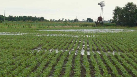 Efecto dispar del clima: bombazo de lluvias en Buenos Aires y riesgo de incendios en el Noreste