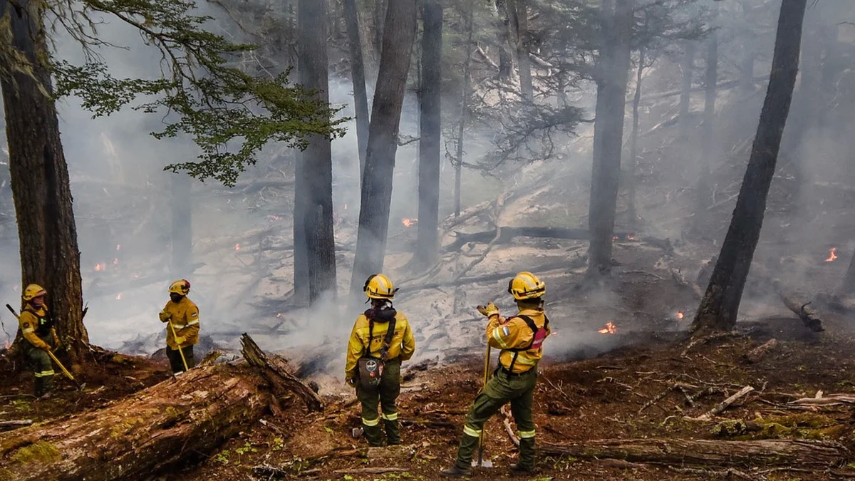 Los brigadistas luchancontra el fuego. (Foto: NA)