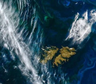 El hallazgo sin precedentes en las Islas Malvinas que podría cambiar por completo todo
