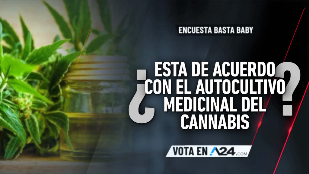 Encuesta Basta Baby: entrá y dejanos tu voto sobre la pregunta de esta noche