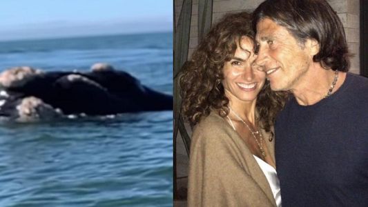 Polémica con Nicolás Repetto: se filmó junto a ballenas en José Ignacio y en las redes lo cuestionaron