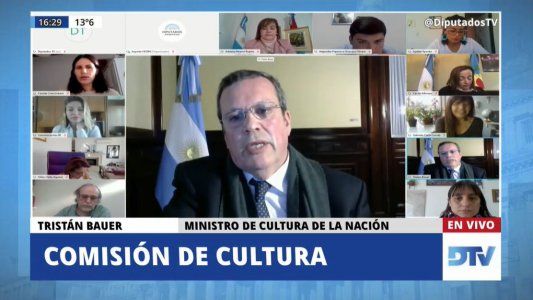 Bauer explicó en Diputados cómo serán los créditos de apoyo para el sector cultural