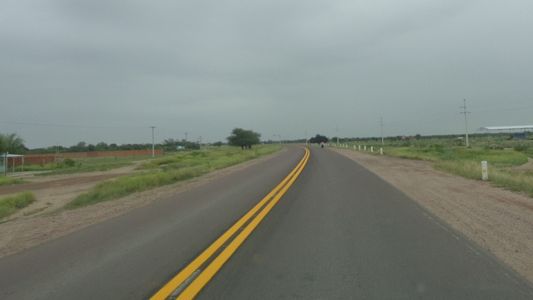 Un conductor esquivó a un burro y se estrelló contra un árbol