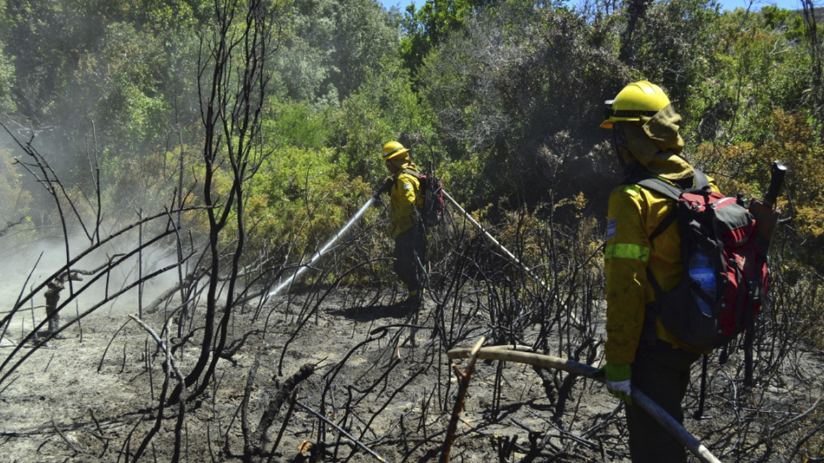 El incendio forestal del Parque Nacional Nahuel Huapi se encuentra detenido. (Foto: Gobierno /archivo)
