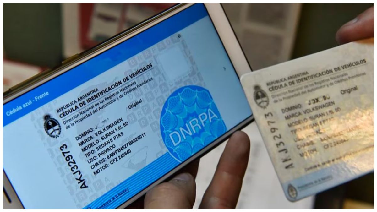 Oficializaron la cédula azul digital: cómo habilitar a terceros en Mi Argentina