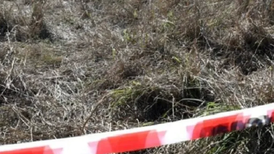 Horror en Rosario: encontraron muerto a un nene de 9 años, creen que lo ahorcaron al lado de un árbol