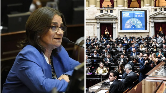 Ley Bases: una senadora de Catamarca votaría en contra pese al pedido de su gobernador