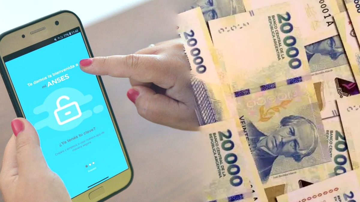 CONFIRMADO por ANSES y Milei: cómo acceder al pago único de $371.167 en MAYO 2025 (Foto: archivo)
