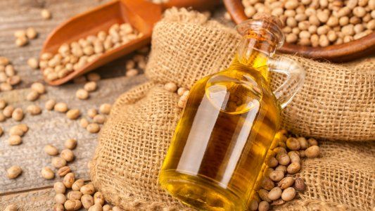 Exportaciones de aceite de soja alcanzaron un récord histórico