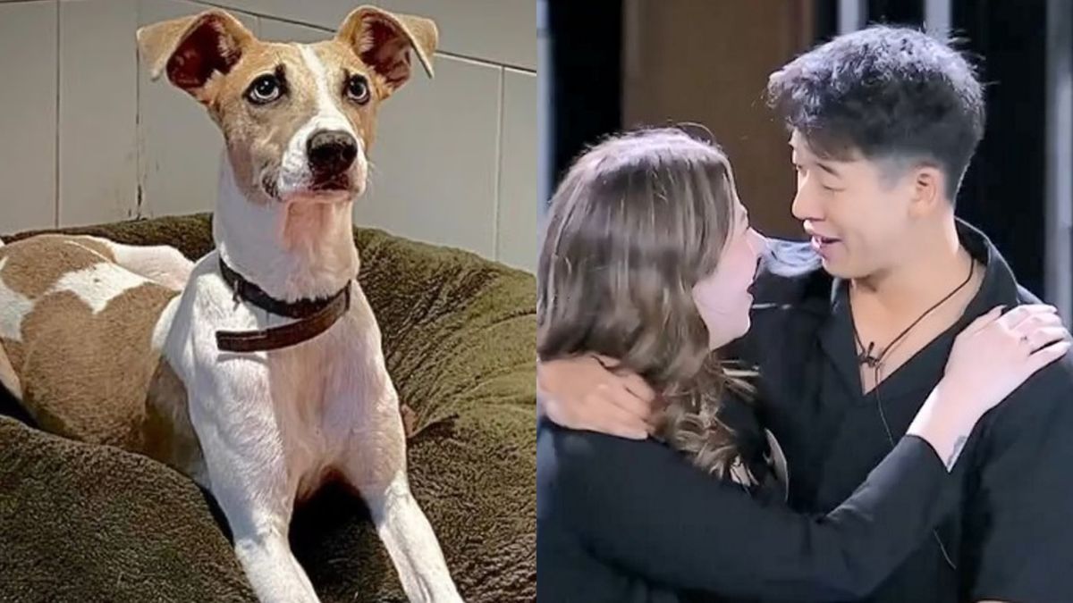 Gran Hermano: Arturo enloqueció de celos y atacó sin piedad a la novia de Martín Ku