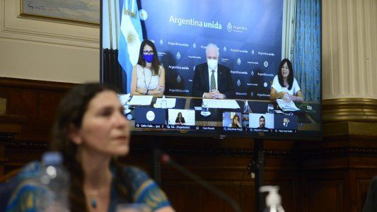 Aborto en Diputados: qué dijeron los ministros durante el debate en comisión